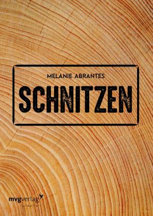 Cover of the book Schnitzen by Ingo Stein, Erwin E. Zangl