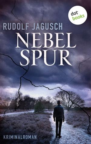 Cover of the book Nebelspur by Clare Chambers