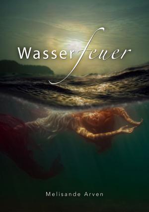 Cover of the book Wasserfeuer by S.R. Burks