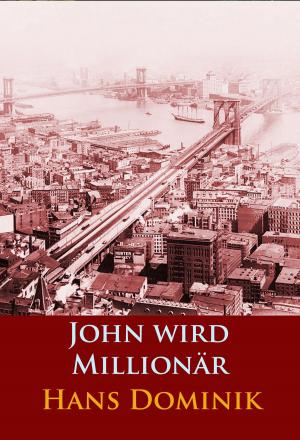 Cover of the book John wird Millionär by Edgar Wallace
