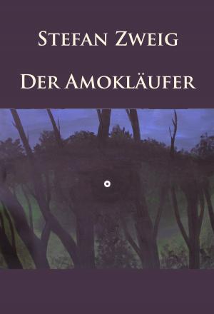 Cover of Der Amokläufer