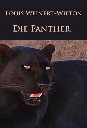 Cover of the book Die Panther by Ludwig Ganghofer