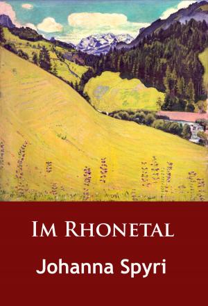 Cover of the book Im Rhonetal by Maurice Leblanc