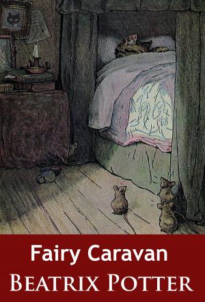 Book cover of Fairy Caravan