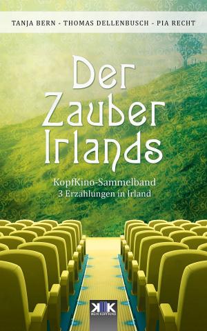 Book cover of Der Zauber Irlands