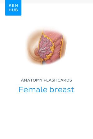 Book cover of Anatomy flashcards: Female breast