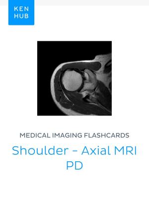 Cover of Medical Imaging flashcards: Shoulder - Axial MRI PD
