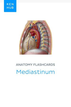 Book cover of Anatomy flashcards: Mediastinum