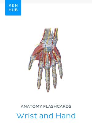 Book cover of Anatomy flashcards: Wrist and Hand
