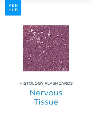 Book cover of Histology flashcards: Nervous Tissue