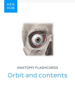 Book cover of Anatomy flashcards: Orbit and contents