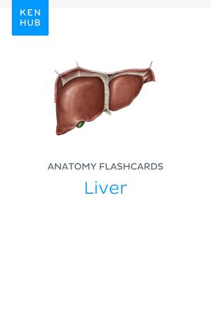 Cover of Anatomy flashcards: Liver