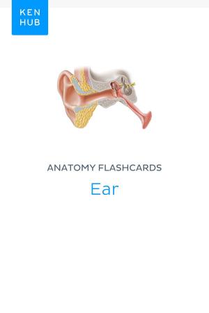 Cover of the book Anatomy flashcards: Ear by Kenhub