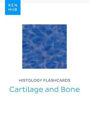 Book cover of Histology flashcards: Cartilage and Bone