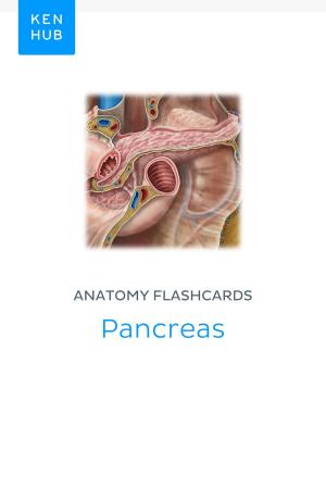 Book cover of Anatomy flashcards: Pancreas