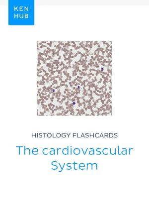 Book cover of Histology flashcards: The cardiovascular System