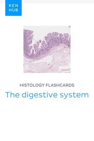 Book cover of Histology flashcards: The digestive system