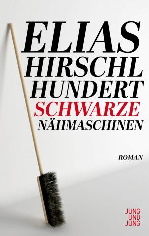 Book cover of Hundert schwarze Nähmaschinen