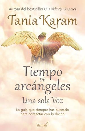 Cover of the book Tiempo de Arcángeles by Jaime Mesa