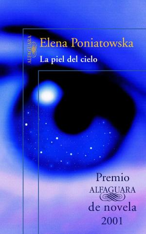 Book cover of La piel del cielo (Premio Alfaguara de novela)