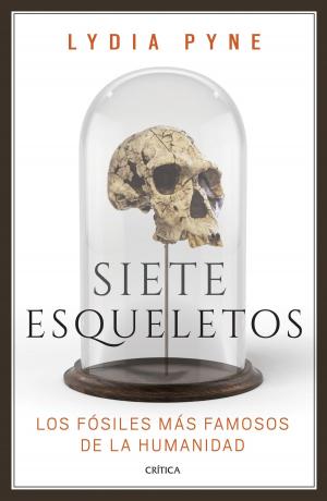 Book cover of Siete esqueletos