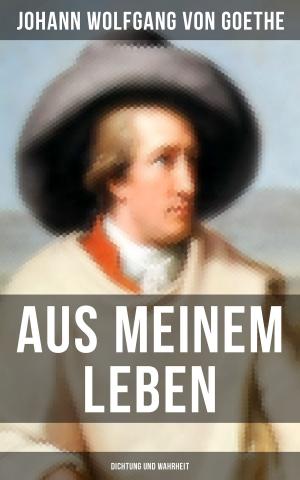 Cover of the book Aus meinem Leben: Dichtung und Wahrheit by Melville Davisson Post