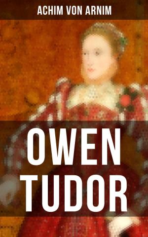 Cover of the book Owen Tudor by R. M. Ballantyne, Edgar Allan Poe, L. Frank Baum, Arthur Conan Doyle, Robert Louis Stevenson, Charles Dickens, Daniel Defoe, J. M. Barrie