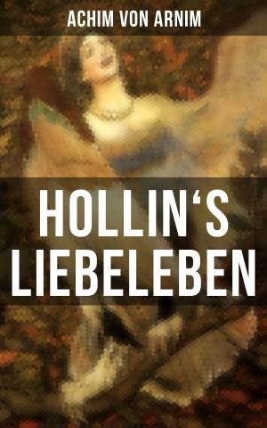 Cover of the book Hollin's Liebeleben by Melville Davisson Post