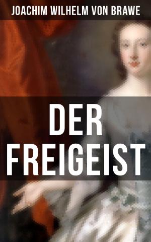 Cover of the book Der Freigeist by Adalbert Stifter