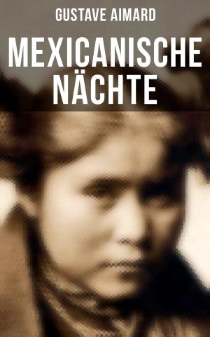 Book cover of Mexicanische Nächte