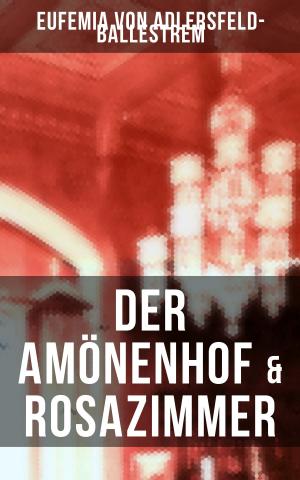 Cover of the book Der Amönenhof & Rosazimmer by Gertrude Stein