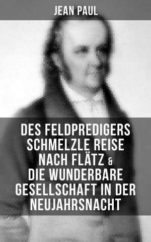 Cover of the book Des Feldpredigers Schmelzle Reise nach Flätz & Die wunderbare Gesellschaft in der Neujahrsnacht by Francis Scott Fitzgerald