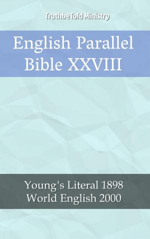 Cover of the book English Parallel Bible XXVIII by Andrei Besedin