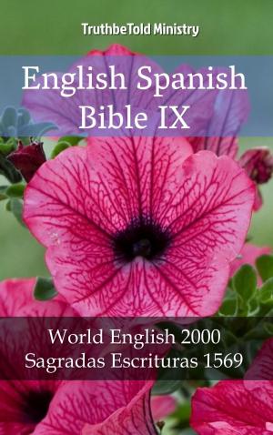 Cover of English Spanish Bible IX