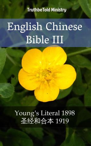 bigCover of the book English Chinese Bible III by 