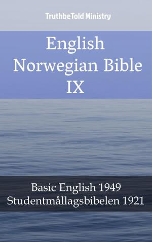 Cover of English Norwegian Bible IX