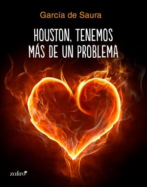 Cover of the book Houston, tenemos más de un problema by Jean-Paul Didierlaurent