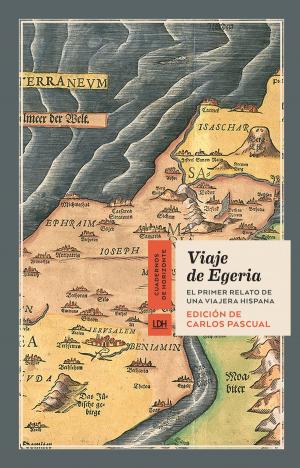 Cover of the book Viaje de Egeria by Sergi Bellver