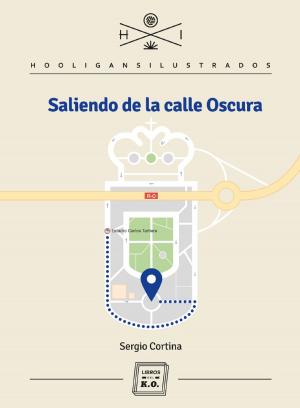 Cover of the book Saliendo de la Calle Oscura by Luis María Valero