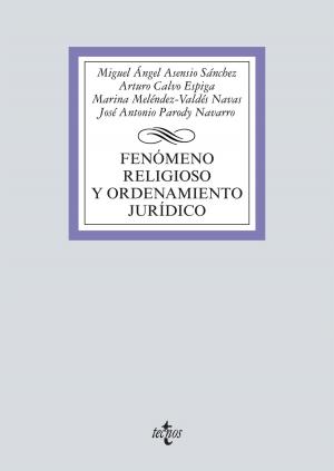 Book cover of Fenómeno religioso y ordenamiento jurídico
