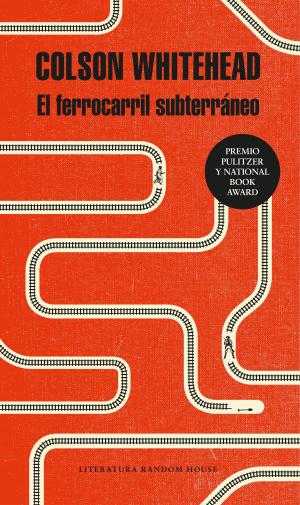 Cover of the book El ferrocarril subterráneo by Pilar Cabero