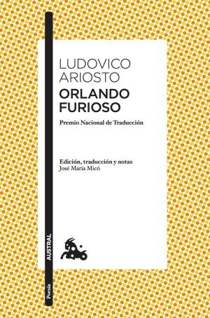 Cover of the book Orlando furioso by Jean-Paul Didierlaurent