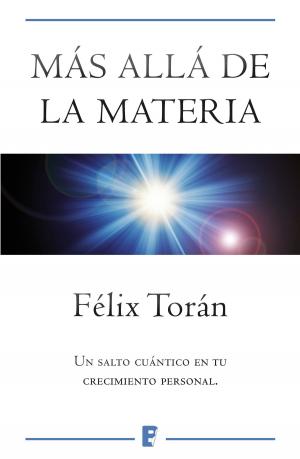 Cover of the book Más allá de la materia by Miguel Arguimbau Latorre