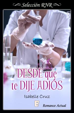 Cover of the book Desde que te dije adiós by Patricia Gaffney