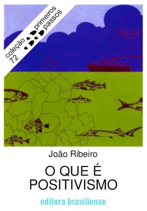 Cover of the book O que é positivismo by Jorge Coli
