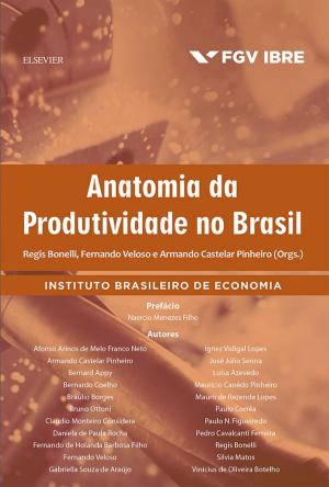Book cover of Anatomia da Produtividade no Brasil