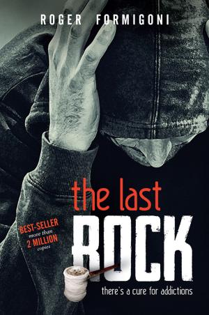Book cover of The last rock