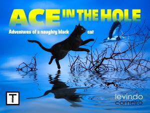 bigCover of the book Ace in the Hole by 