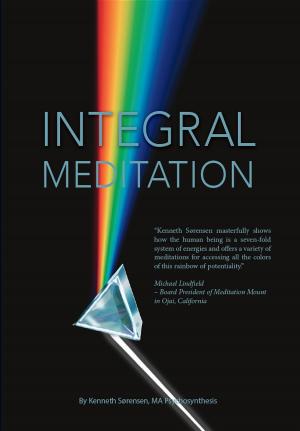 Cover of Integral Meditation