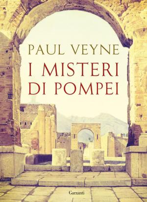 Book cover of I misteri di Pompei